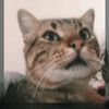 syrine_0127