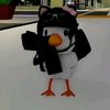 polett_vigevani