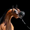 muhammed55993