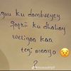 hibaaq.idho