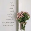 kcaxoshnaw3