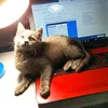 carla_36375