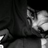 user1936966159053
