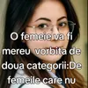 tiktok.vadsforel