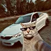ssxssvn