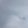 mrcelosilva43