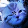 cool_ediits