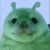 fiorelita_tero_7u7