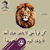 user7595619751306