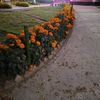 art.rifat.khan