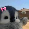 nury.hss