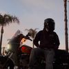 dogteeth66