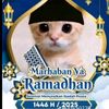 kucingramadan05