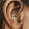 ayeshakhan11267