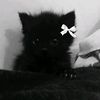 dasha57921