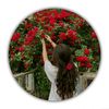 .anoosha