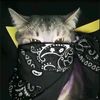 jason_frenando