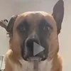 germanblastchan4