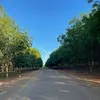 wanliduxing2502