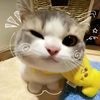 namanya_rismaa