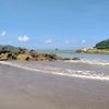 .yuardiani