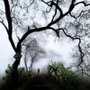 nomanakand79