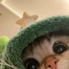 theonly.evva