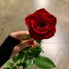 الـمـلگـه♥️