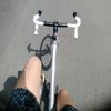 who_kz_2