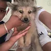 simrakgzhqb
