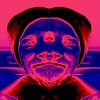 drickq6