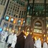 halaeissa86