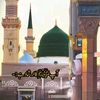 muhammadsajjad9684