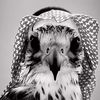 saad.naif6