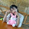poe.poe486