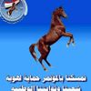 user274618188192