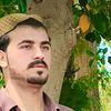 gulkhan8377