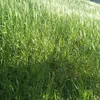 user5070612906142