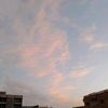 nourkaf193