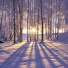 winter_glow7