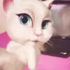 _jiafeiagatha