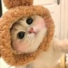 pet.playground22