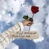 user8277402757966