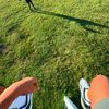flock_raven8
