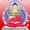 thao.anh7127