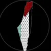 .abbas0385