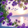 zineb.morad1