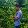 abdul.katab