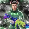 tema_prosto1