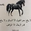 user9444441467041